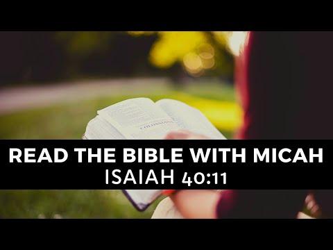 Read the Bible |  Isaiah 40:11