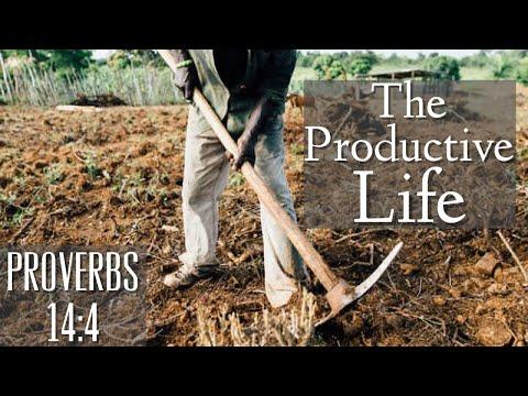 The Productive Life (A Study of Proverbs 14:4)