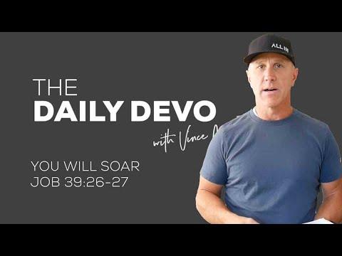 You Will Soar | Devotional | Job 39:26-27
