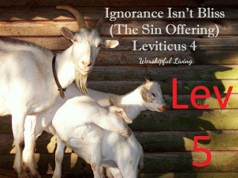 Leviticus 5:1-19 The Sin Offering Continued Part 2-2