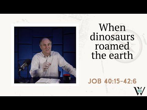 Lesson 200: Dragons and Dinosaurs (Job 40:15-42:6)