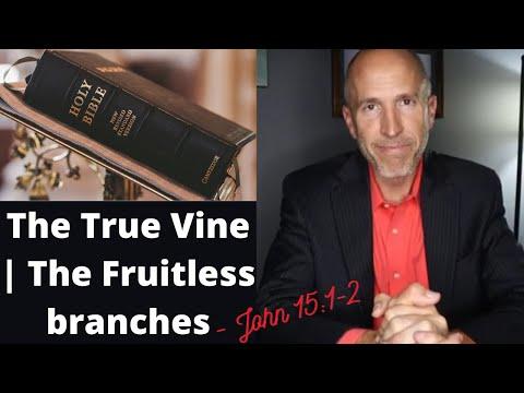 The True Vine | The Fruitless branches | John 15:1- 2