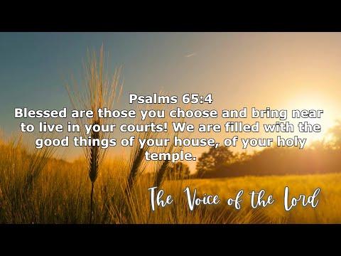 Psalms 65:4 The Voice of the Lord  March 27, 2022 by Pastor Teck Uy