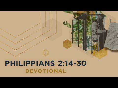 Philippians 2:14-30 | Seeking the Interests of Others | Bible Study
