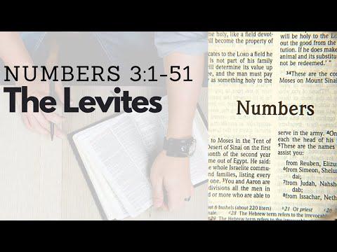 NUMBERS 3:1-51 THE LEVITES (S14 E3)