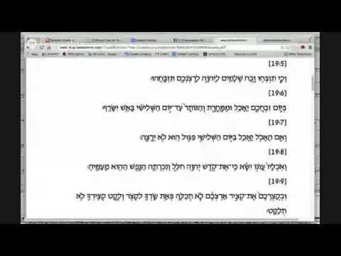Parashat K'doshim -- Triennial I -- Aliyah 2 -- Leviticus 19:5-10