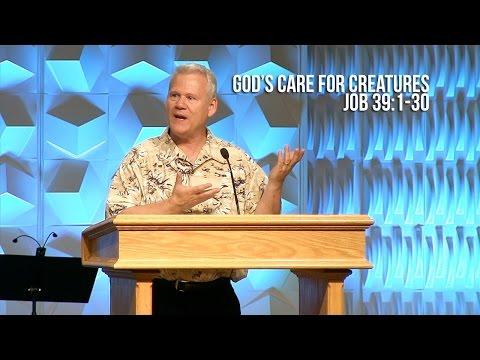 Job 39:1-30, God&#39;s Care For Creatures
