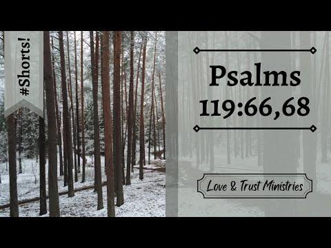 Our God Is Good! | Psalms 119:66,68 | November 25th | Rise and Shine Shorts