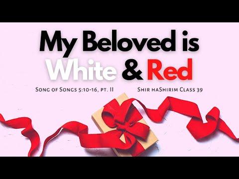 The "Whiteness" of God | Song of Songs 5:10-16, pt. II | Shir haShirim Class 39 | Seattle Kollel