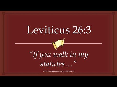 Leviticus 26:3 'If you walk in my statutes...' | Tetze Torah Ministries