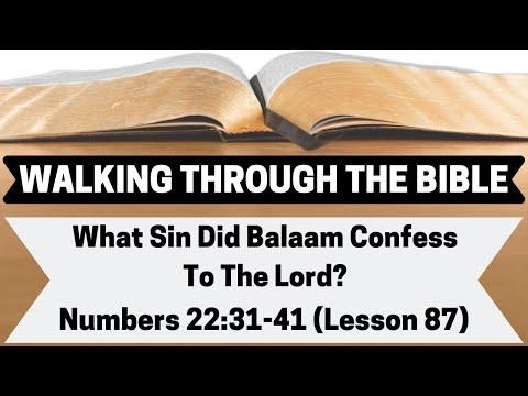 What Sin Did Balaam Confess To The Lord? [Numbers 22:31-41][Lesson 87][WTTB]