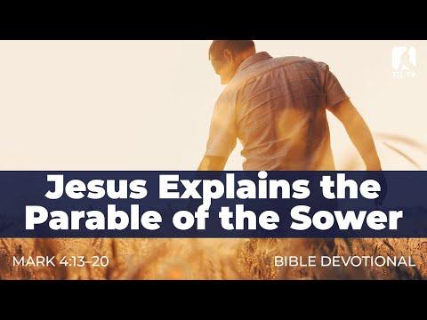 29. Jesus Explains the Parable of the Sower - Mark 4:13-20