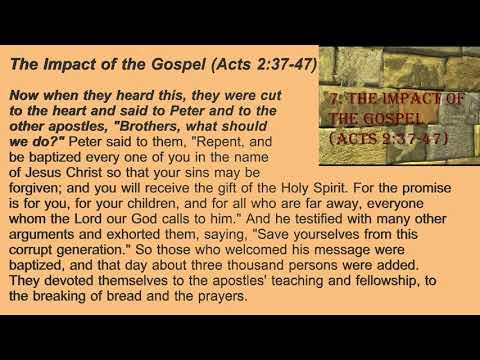 7. The Impact of the Gospel (Acts 2:37-47)