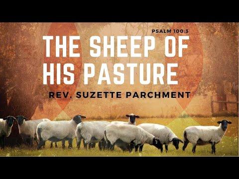 Rev. Suzette Parchment - The Sheep of His Pasture - Psalm 100:3