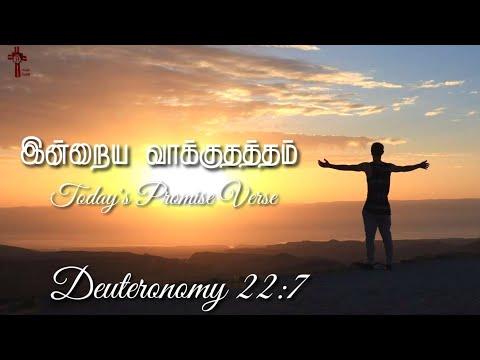 Today's Promise Verse | Deuteronomy 22:7 | Whatsapp Status | Raja SJRB