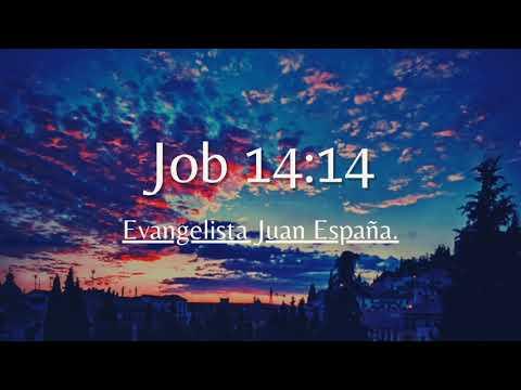 ????Job 14:14????|| Evang.Juan España.
