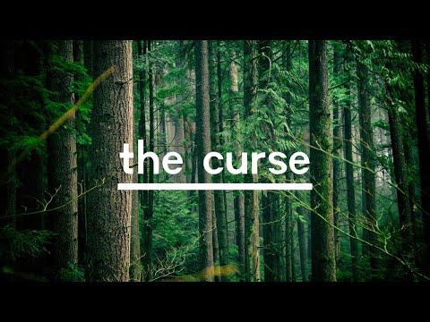 2-2-20 Lord's Day Morning Worship;  "The Curse" - Deuteronomy 28:15-68