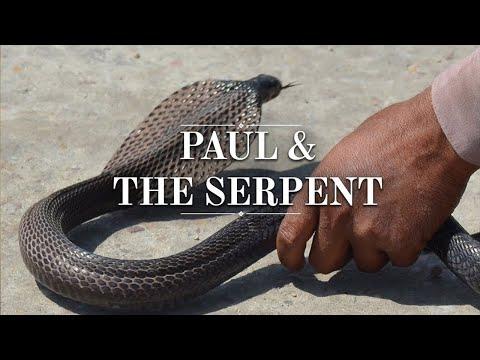Paul & The Serpent - Acts 28:1-6