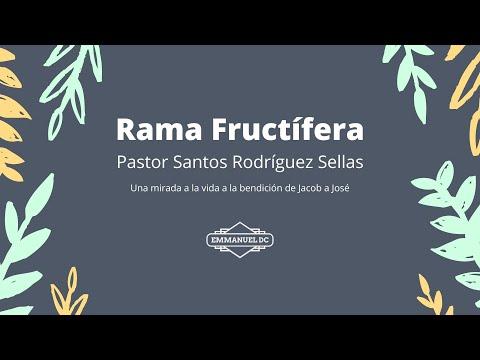 Rama Fructifera - Genesis 49: 22-26