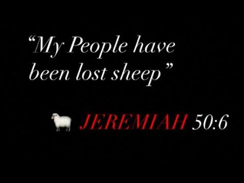 ???? JEREMIAH 50:6 Milk breakdown straight to the point