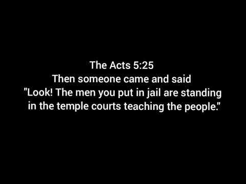 Bible Book of Acts 5:16-42
