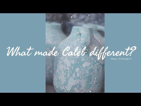 WHAT MADE CALEB DIFFERENT? | Numbers 14:24