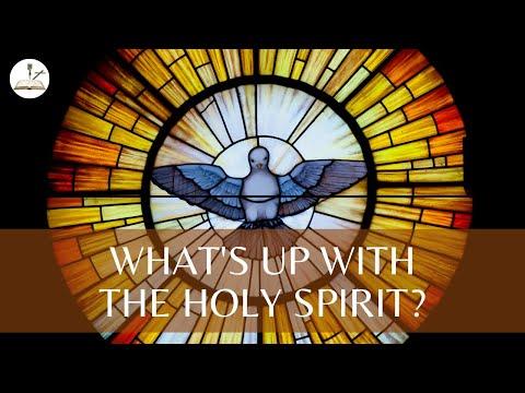 Why did God give the gift of the Holy Spirit? (1 Corinthians 2:12)