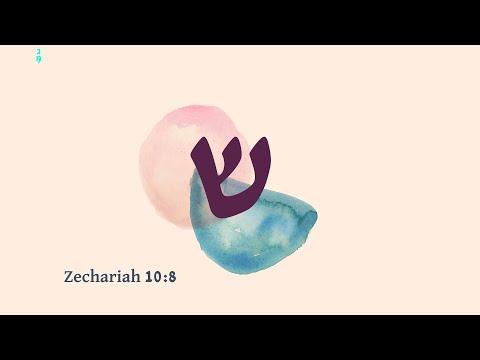 The Meaning of The Letter Shin In Hebrew: Zechariah 10:8