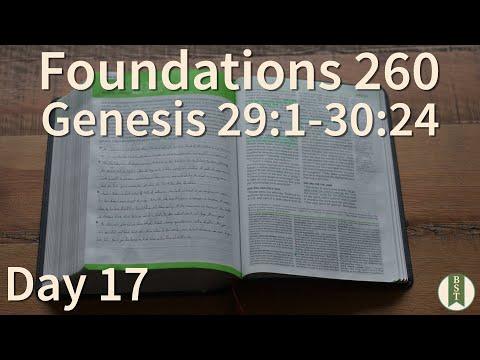F260 Day 17: Genesis 29:1-30:24 [Bible Study Minute]