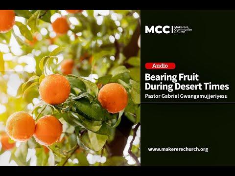 Bearing Fruit During Desert Times | Psalm 146, Jeremiah 12:5-10