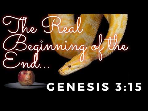 The Real Beginning of the End... Genesis 3:15