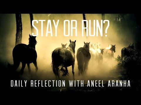 Daily Reflection with Aneel Aranha | Luke 9:57-62 | September 30, 2020
