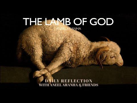 January 17, 2021 - The Lamb of God - A Reflection on John 1:35-42