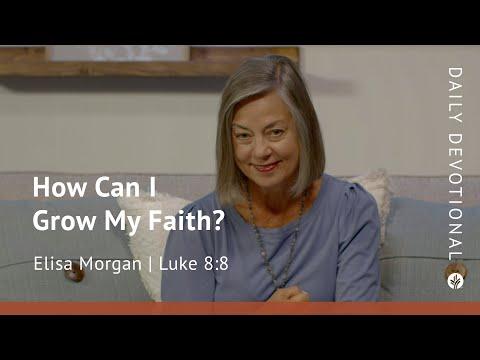 How Can I Grow My Faith? | Luke 8:8 | Our Daily Bread Video Devotional