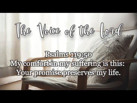 Psalms 119:50 The Voice of the Lord  October 4, 2021 by Pastor Teck Uy