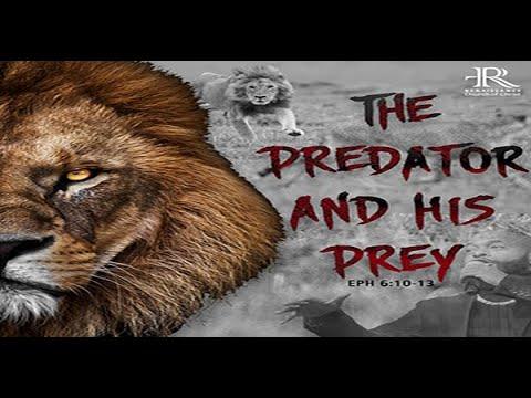 August 16, 2020 | The Predator and His Prey (Eph 6:10-13) | Renaissance Church of Christ