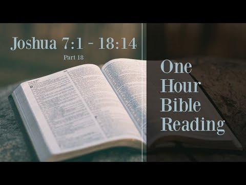 Read The Entire Bible (Part 18) - 1 Hour Bible Reading (Joshua 7:1 - 18:14)