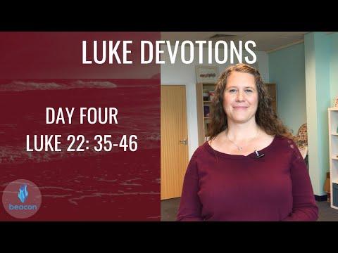 Daily Devotion Week 22: Luke 22:35-46
