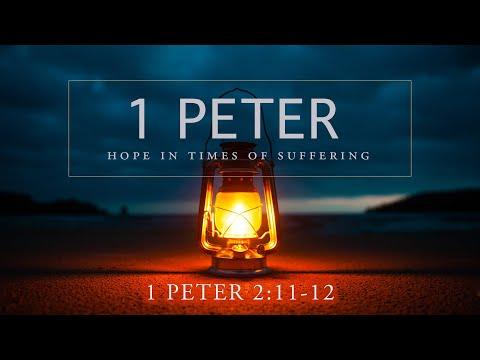 Living as God's People in a Hostile World (1 Peter 2:11-12)