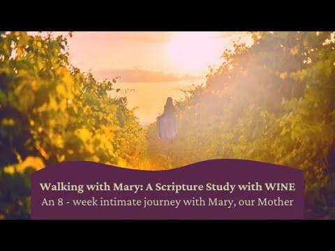 Walking with Mary: A Scripture Study with WINE ~ Genesis 2:4 - 3:24 with Alyssa Bormes