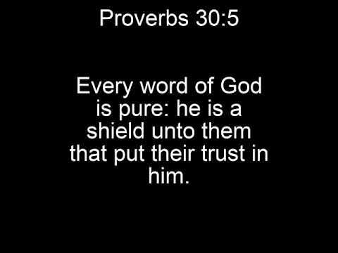 Proverbs 30:5 Song (KJV Bible Memorization)