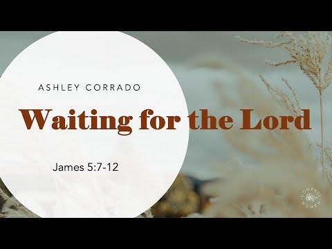 Waiting for the Lord (James 5:7-12) | Women's Bible Study | Ashley Corrado