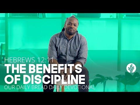 The Benefits of Discipline | Hebrews 12:11 | Our Daily Bread Video Devotional