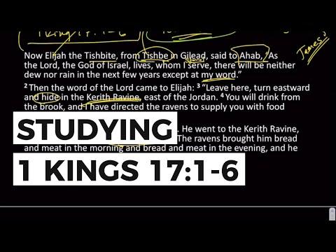Wild Growth - 1 Kings 17:1-6 | Scripture Study