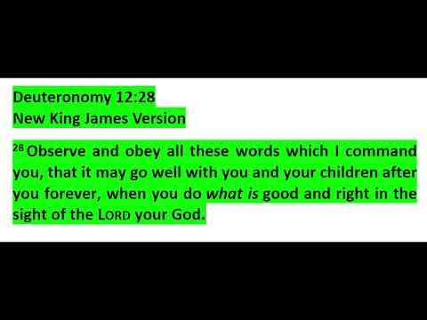 Deuteronomy 12:28 All will go well with you and your children