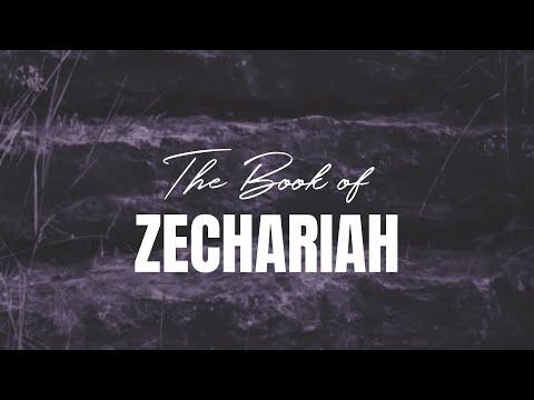 Zechariah 1:18 - 3:10 -- Thru The Bible with Damian Kyle