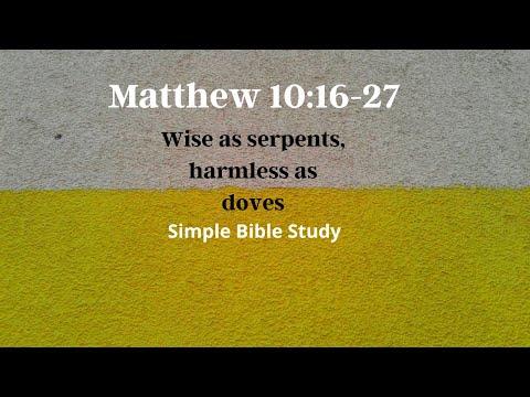 Matthew 10:16-27: Wise as serpents, harmless as doves | Simple Bible Study