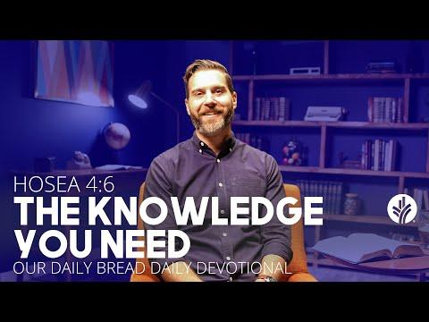 The Knowledge You Need | Hosea 4:6 | Our Daily Bread Video Devotional