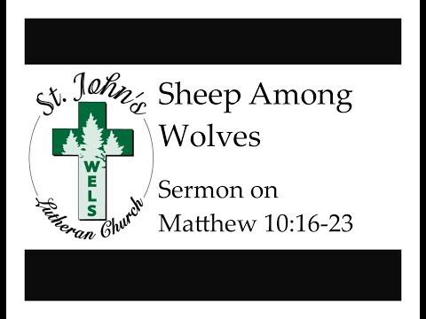 Sheep Among Wolves (Sermon on Matthew 10:16-23)