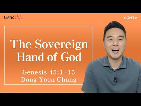 [Living Life] 11.09 The Sovereign Hand of God (Genesis 45:1-15) - Daily Devotional Bible Study
